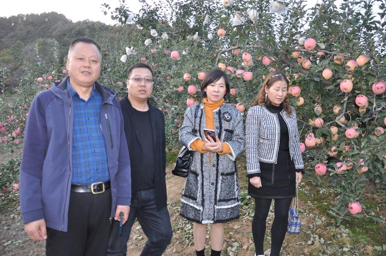 三门峡市农产品质量安全检测中心深入绿色食品认证企业开展专项检查