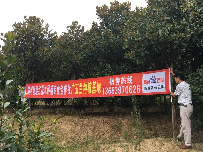 工业品采购的数字化通路 从“电工电气工厂网”看垂直平台的整合逻辑